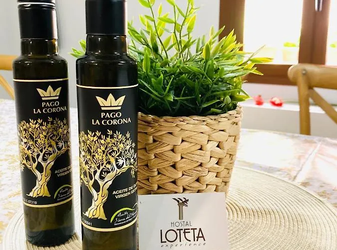 Loteta Experience Bed & Breakfast Magallon